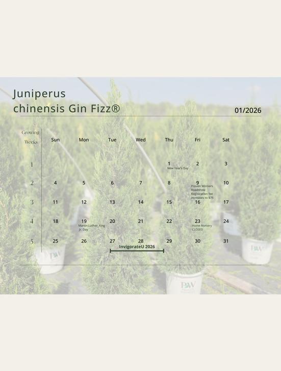 Home Nursery Virtual Calendar 