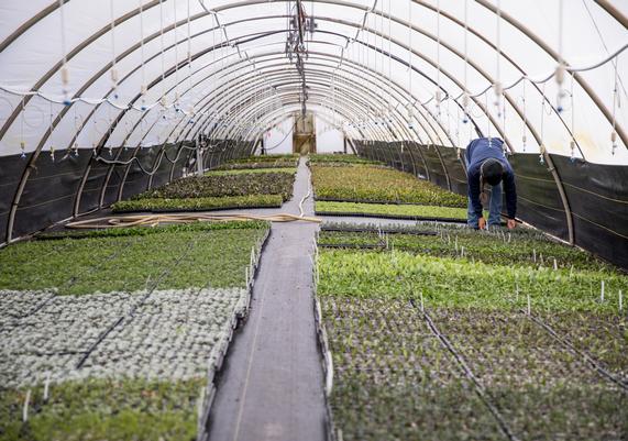 Propagation House