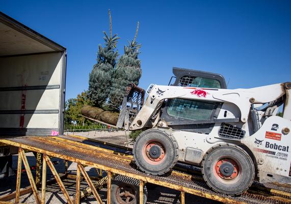 Unloading B&B Trees