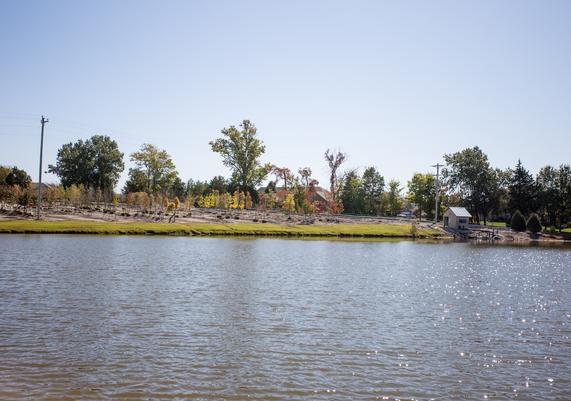 ODC Irrigation Pond