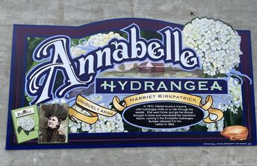 The Roots of 'Annabelle'